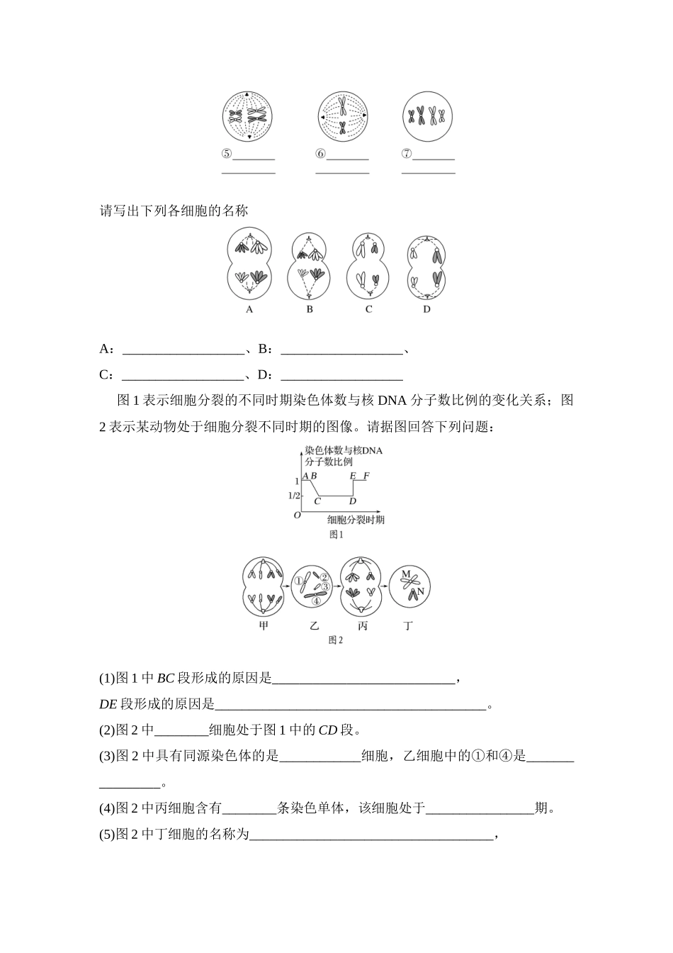 2026创新设计高考总复习生物（人教版）学生用-第16课时  减数分裂与有丝分裂的比较.docx_第2页