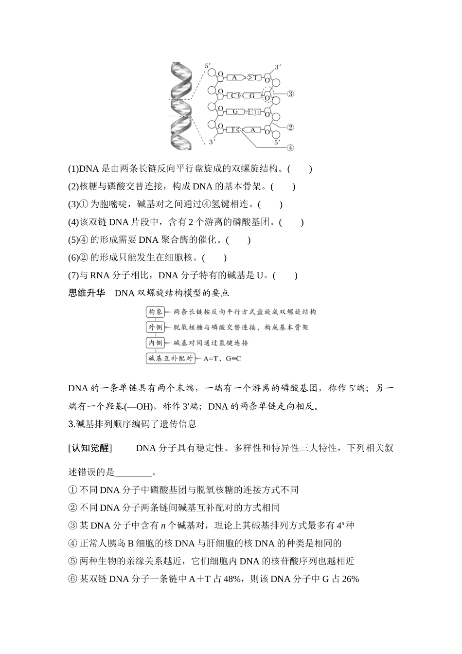 2026创新设计高考总复习生物（人教版）学生用-第23课时  DNA的结构、复制及基因的本质.docx_第2页