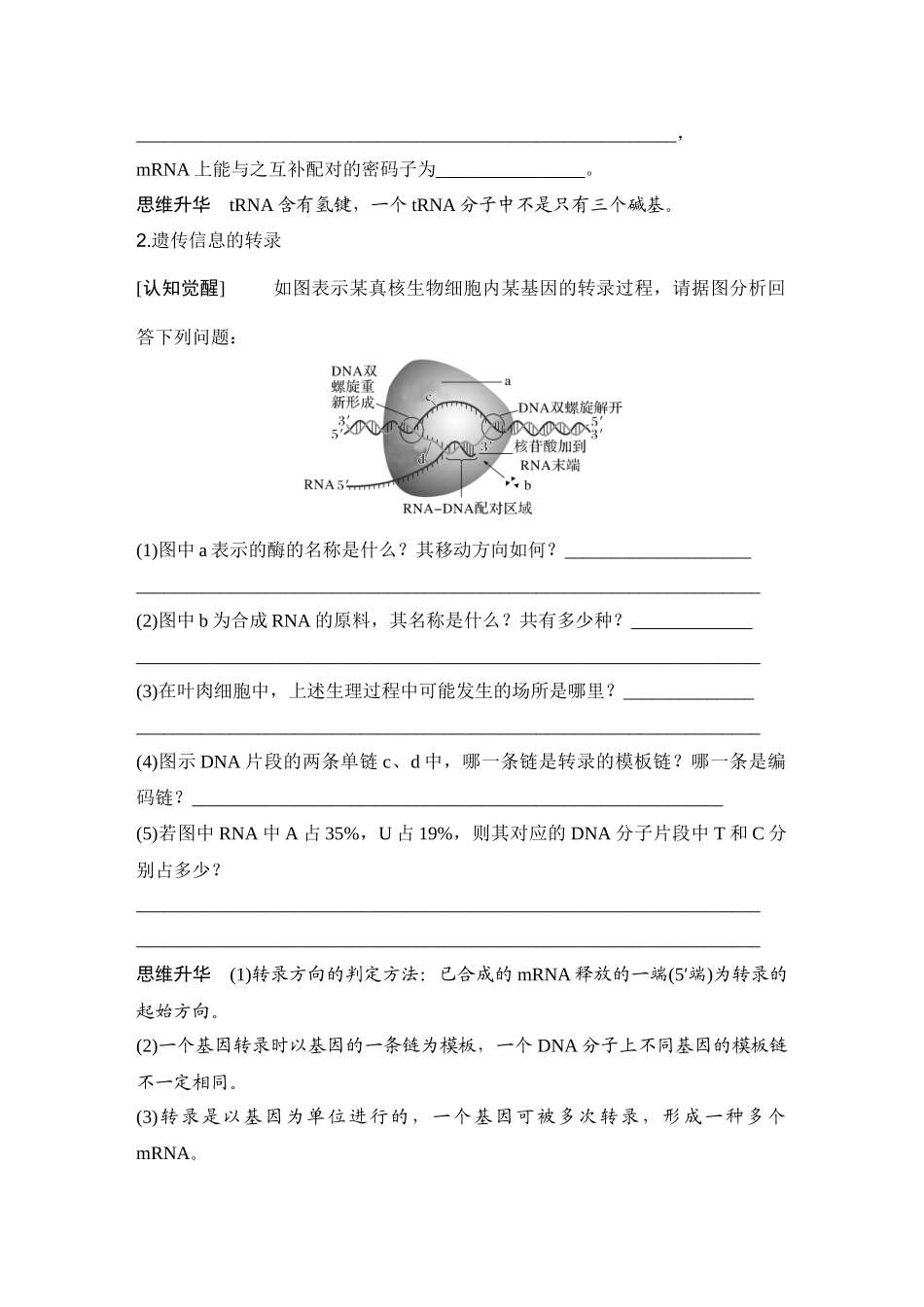 2026创新设计高考总复习生物（人教版）学生用-第24课时  基因的表达.docx_第2页