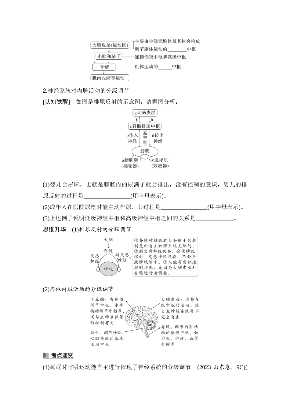 2026创新设计高考总复习生物（人教版）学生用-第32课时  神经系统的分级调节及人脑的高级功能.docx_第2页