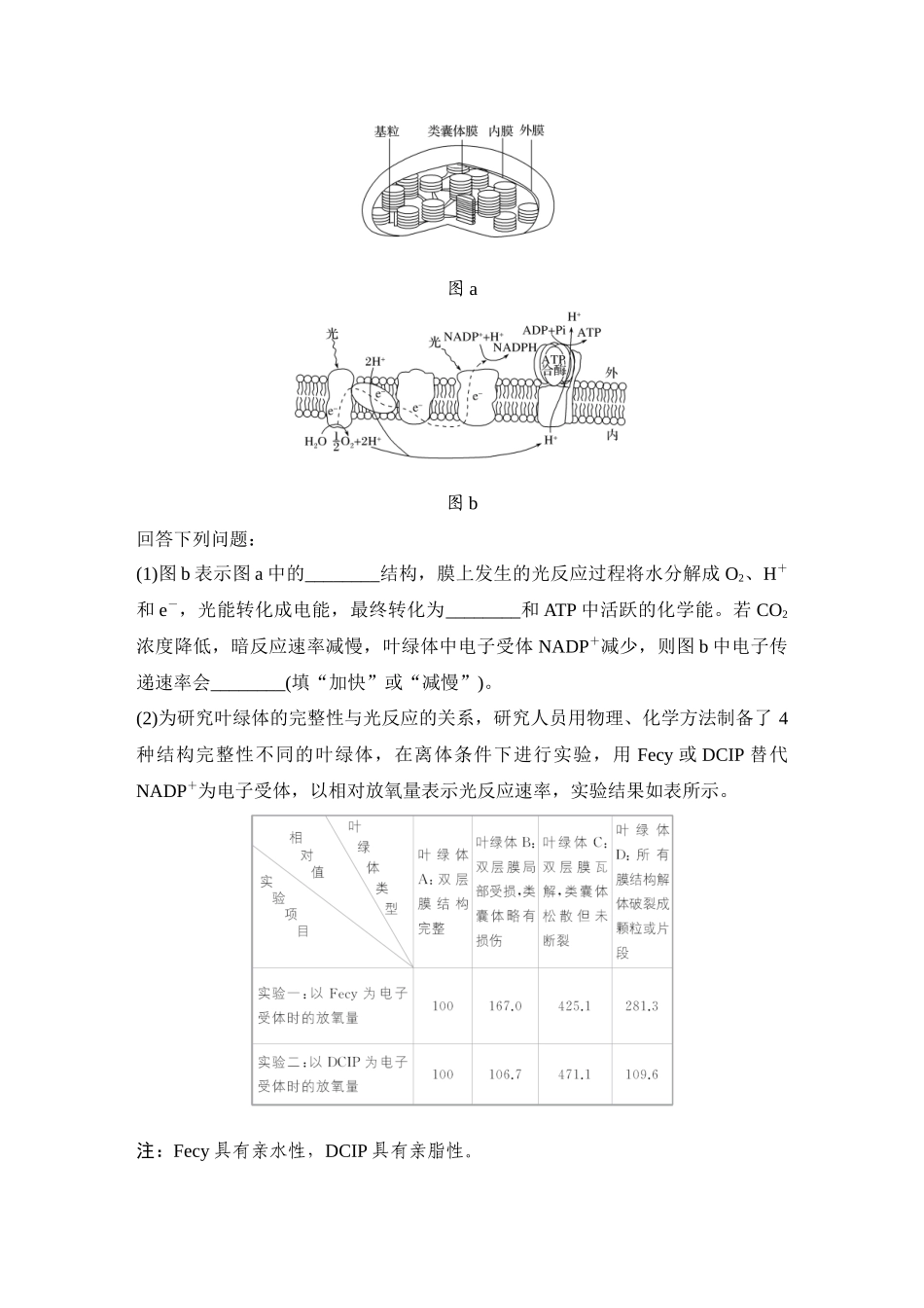 2026创新设计高考总复习生物（人教版）学生用-微专题5  电子传递链、化学渗透假说及逆境胁迫.docx_第2页