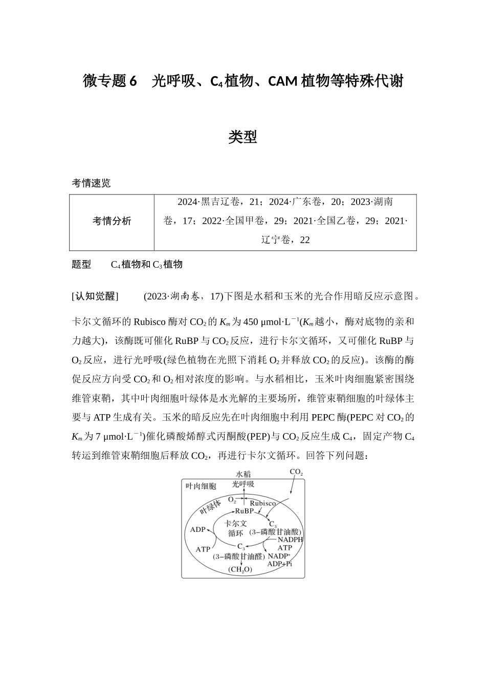 2026创新设计高考总复习生物（人教版）学生用-微专题6  光呼吸、C4植物、CAM植物等特殊代谢类型.docx_第1页
