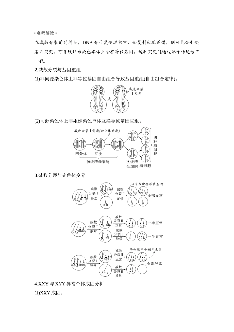 2026创新设计高考总复习生物（人教版）学生用-微专题7  细胞分裂与变异、细胞自噬、焦亡、铁死亡等.docx_第3页