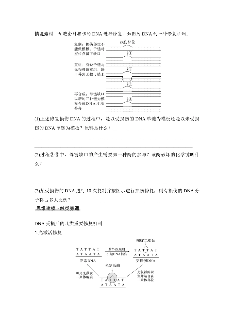 2026创新设计高考总复习生物（人教版）学生用-微专题13  DNA损伤的修复机制与基因表达调控.docx_第2页