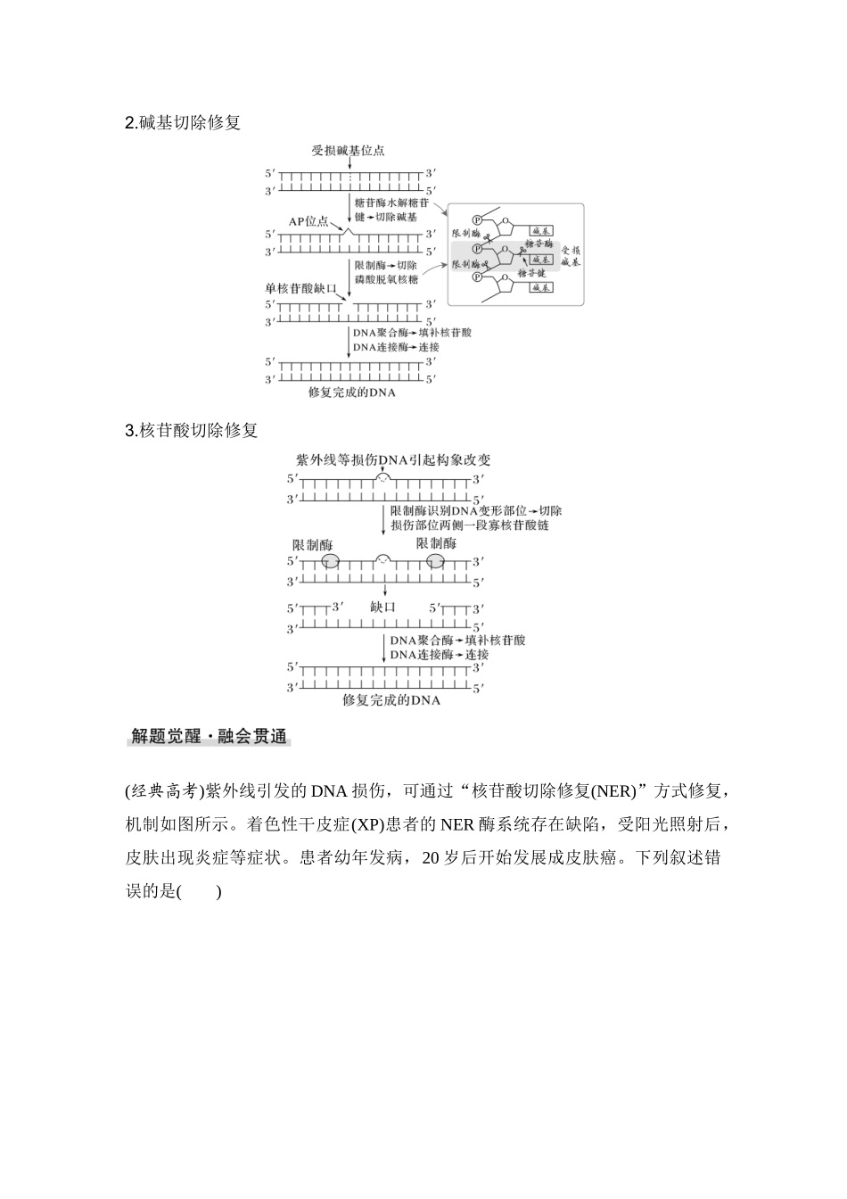 2026创新设计高考总复习生物（人教版）学生用-微专题13  DNA损伤的修复机制与基因表达调控.docx_第3页