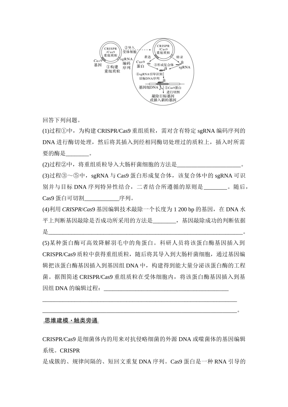 2026创新设计高考总复习生物（人教版）学生用-微专题16  CRISPRCas9基因编辑、融合基因与融合蛋白、单酶切导致的正、反接的电泳检测和PCR检测.docx_第2页