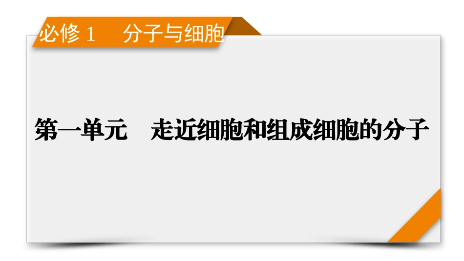 2026年衡中学案高考一轮总复习生物-必修1　第1单元　第3讲　蛋白质是生命活动的主要承担者.pptx_第1页