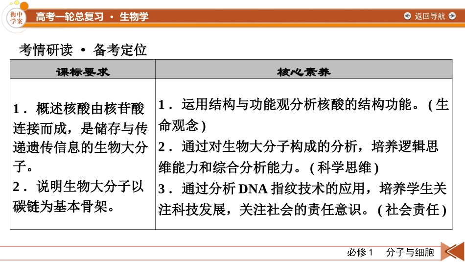 2026年衡中学案高考一轮总复习生物-必修1　第1单元　第4讲　核酸是遗传信息的携带者.pptx_第3页