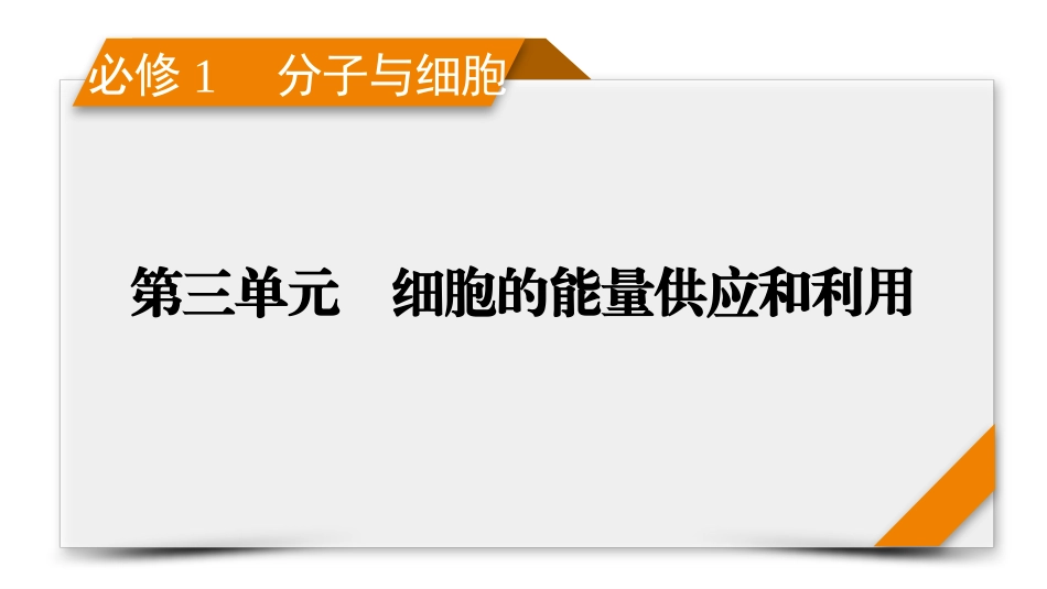 2026年衡中学案高考一轮总复习生物-必修1　第3单元　第2讲　ATP和细胞呼吸.pptx_第1页