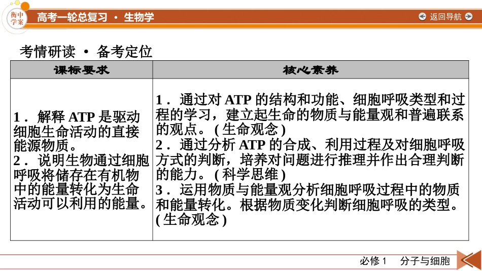 2026年衡中学案高考一轮总复习生物-必修1　第3单元　第2讲　ATP和细胞呼吸.pptx_第3页