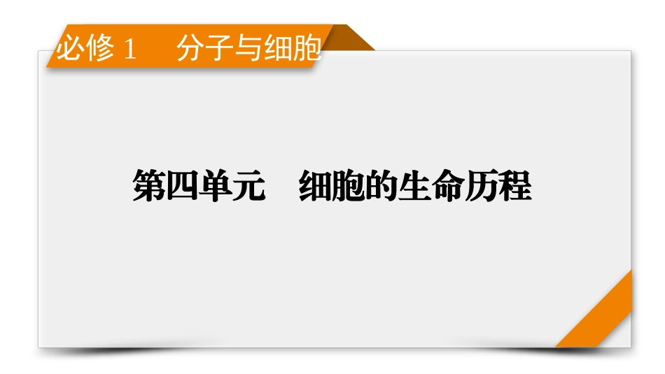 2026年衡中学案高考一轮总复习生物-必修1　第4单元　第1讲　细胞的增殖.pptx_第1页