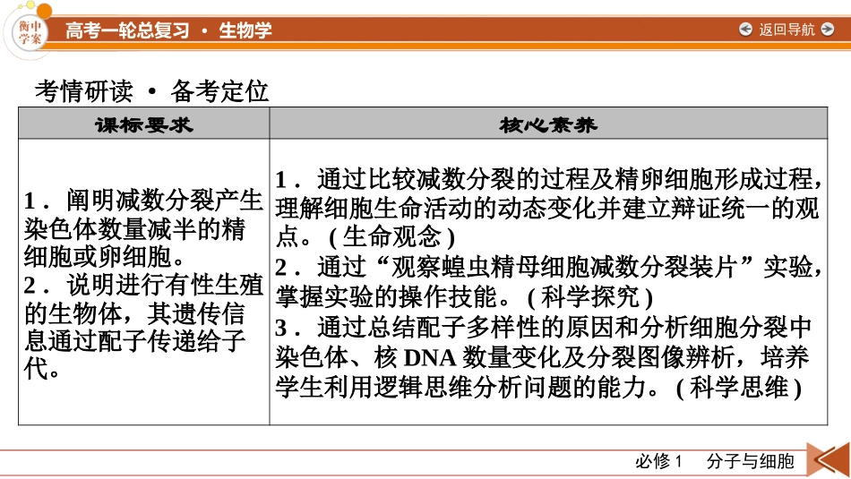 2026年衡中学案高考一轮总复习生物-必修1　第4单元　第2讲　细胞的减数分裂和受精作用.pptx_第3页