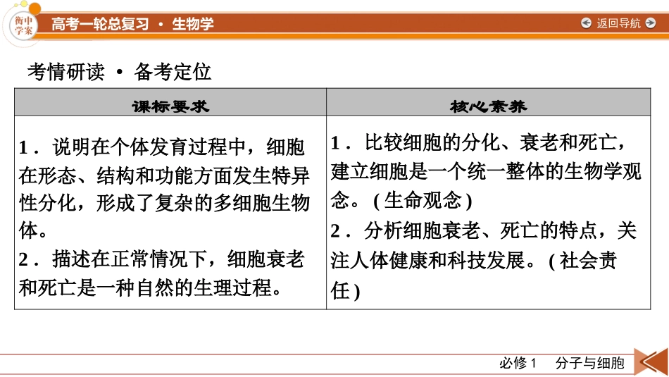 2026年衡中学案高考一轮总复习生物-必修1　第4单元　第3讲　细胞的分化、衰老和死亡.pptx_第3页
