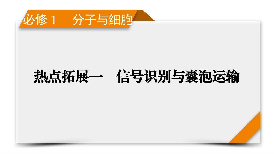 2026年衡中学案高考一轮总复习生物-必修1　热点拓展1　信号识别与囊泡运输.pptx_第1页