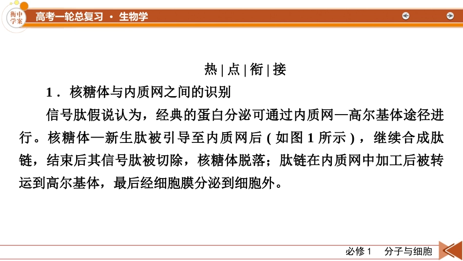 2026年衡中学案高考一轮总复习生物-必修1　热点拓展1　信号识别与囊泡运输.pptx_第2页