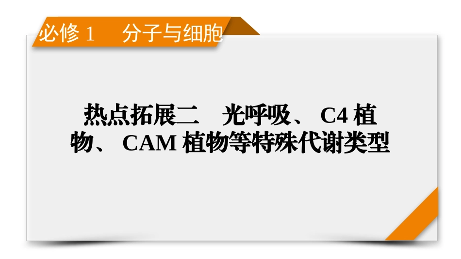 2026年衡中学案高考一轮总复习生物-必修1　热点拓展2　光呼吸、C4植物、CAM植物等特殊代谢类型.pptx_第1页