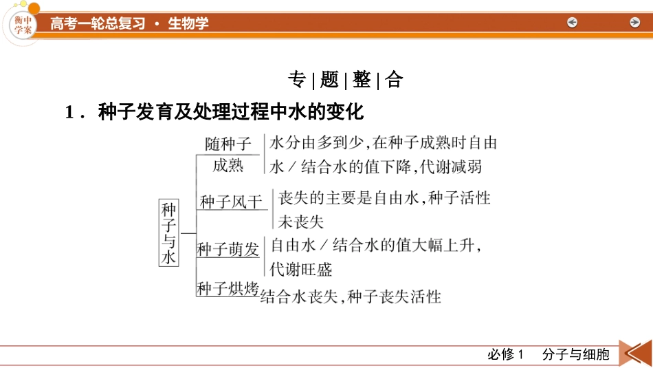 2026年衡中学案高考一轮总复习生物-必修1　微专题1　探究“种子形成与萌发”过程中相关的变化.pptx_第2页