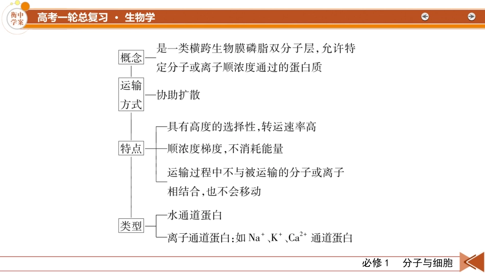 2026年衡中学案高考一轮总复习生物-必修1　微专题2　与物质出入细胞方式有关的热考题型.pptx_第3页