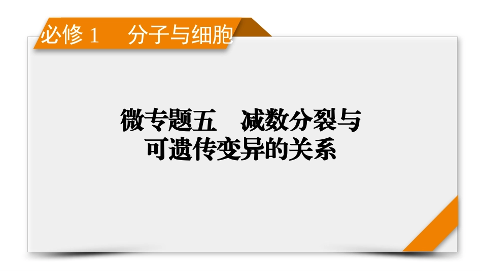 2026年衡中学案高考一轮总复习生物-必修1　微专题5　减数分裂与可遗传变异的关系.pptx_第1页