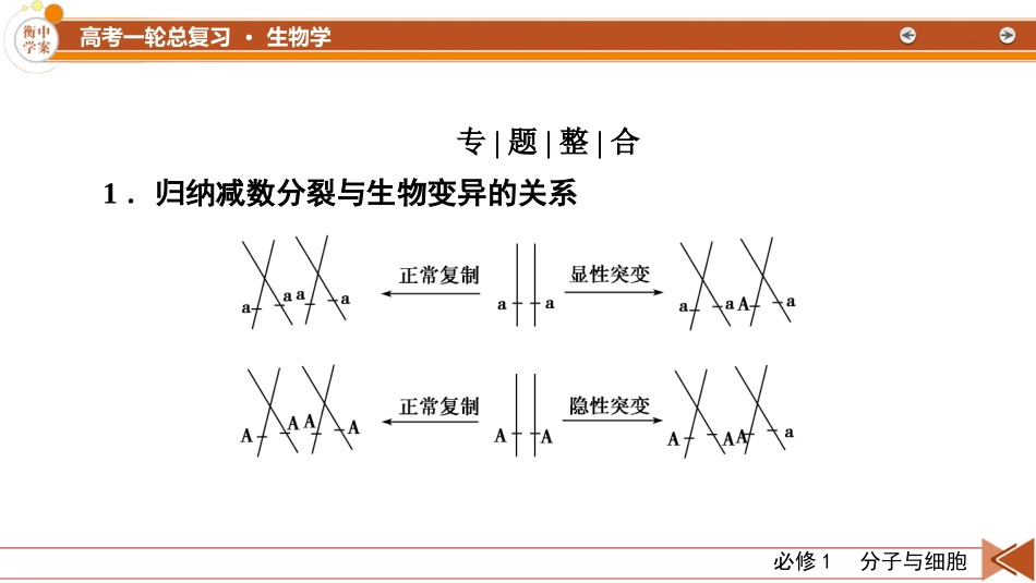 2026年衡中学案高考一轮总复习生物-必修1　微专题5　减数分裂与可遗传变异的关系.pptx_第2页