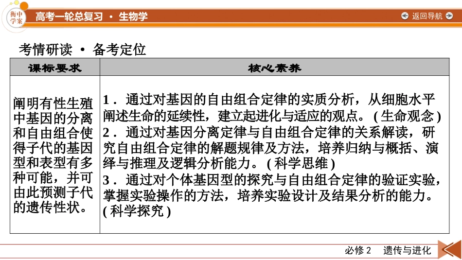 2026年衡中学案高考一轮总复习生物-必修2　第5单元　第2讲　基因的自由组合定律.pptx_第3页