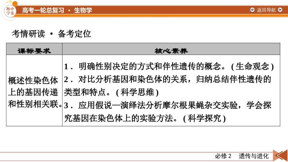2026年衡中学案高考一轮总复习生物-必修2　第5单元　第3讲　伴性遗传.pptx_第3页