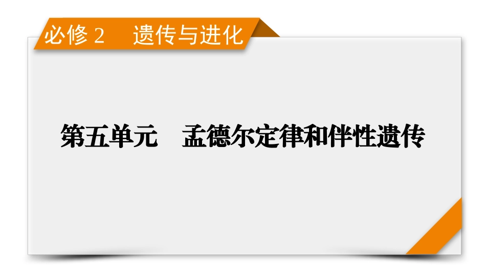 2026年衡中学案高考一轮总复习生物-必修2　第5单元　第4讲　人类遗传病.pptx_第1页