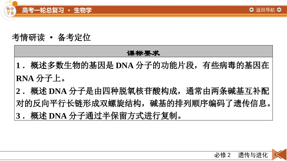 2026年衡中学案高考一轮总复习生物-必修2　第6单元　第2讲　DNA分子的结构、复制与基因的本质.pptx_第3页