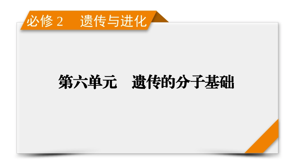 2026年衡中学案高考一轮总复习生物-必修2　第6单元　第3讲　基因的表达.pptx_第1页