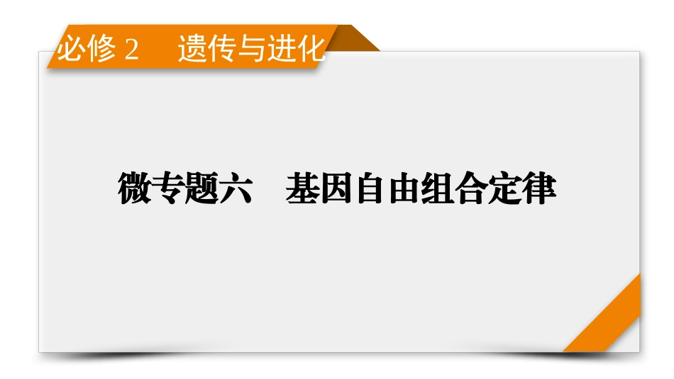 2026年衡中学案高考一轮总复习生物-必修2　微专题6　基因自由组合定律.pptx_第1页