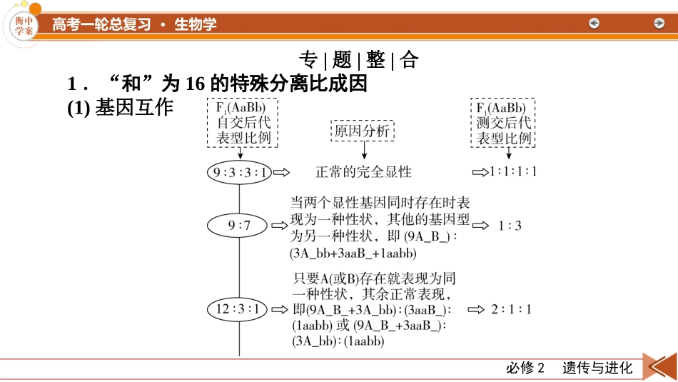 2026年衡中学案高考一轮总复习生物-必修2　微专题6　基因自由组合定律.pptx_第2页