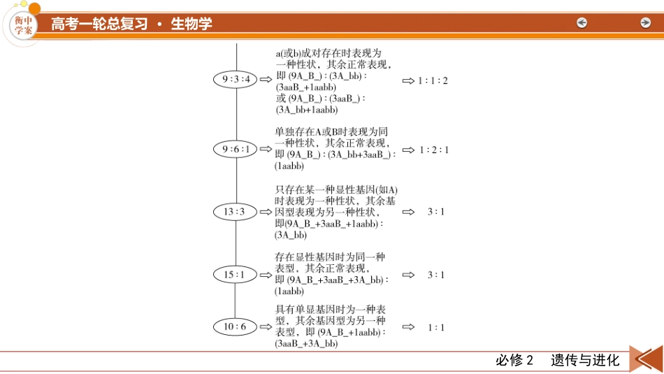 2026年衡中学案高考一轮总复习生物-必修2　微专题6　基因自由组合定律.pptx_第3页