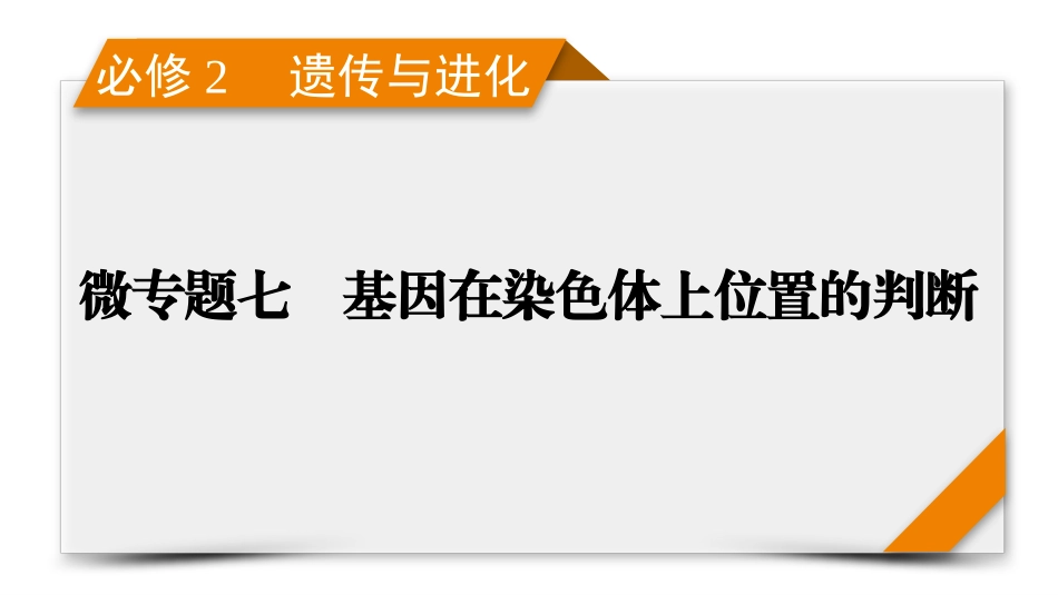 2026年衡中学案高考一轮总复习生物-必修2　微专题7　基因在染色体上位置的判断.pptx_第1页