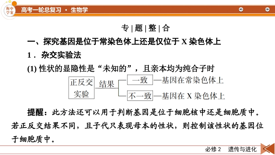 2026年衡中学案高考一轮总复习生物-必修2　微专题7　基因在染色体上位置的判断.pptx_第2页