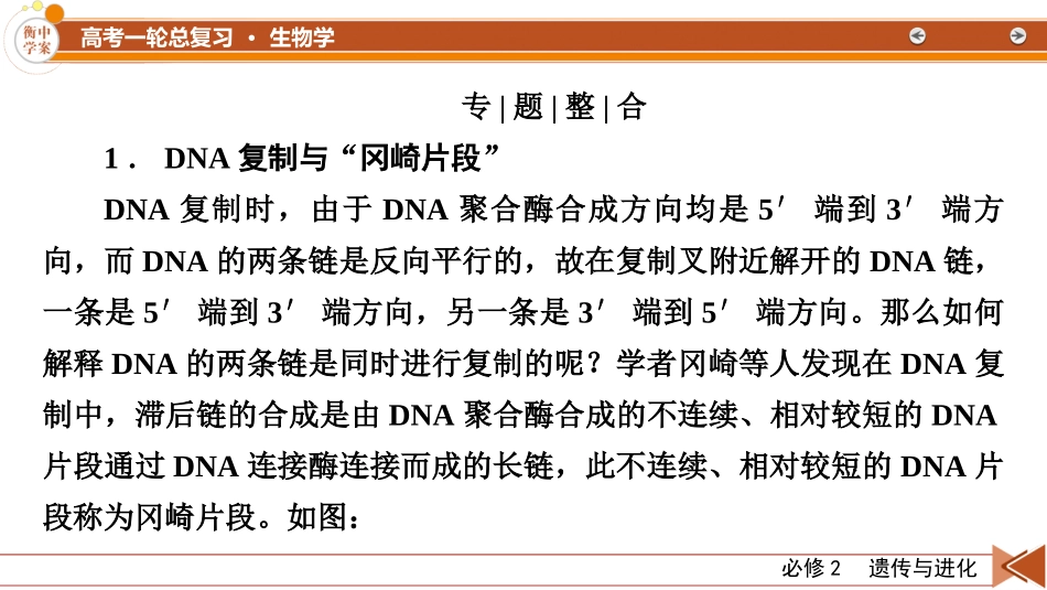 2026年衡中学案高考一轮总复习生物-必修2　微专题9　冈崎片段和基因表达的调控.pptx_第2页