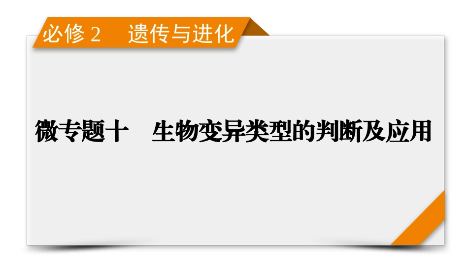 2026年衡中学案高考一轮总复习生物-必修2　微专题10　生物变异类型的判断及应用.pptx_第1页