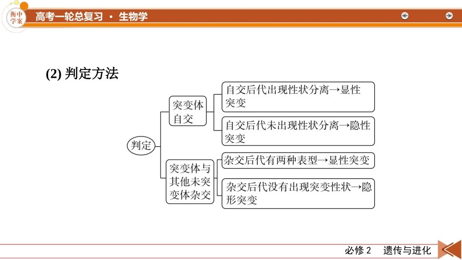 2026年衡中学案高考一轮总复习生物-必修2　微专题10　生物变异类型的判断及应用.pptx_第3页