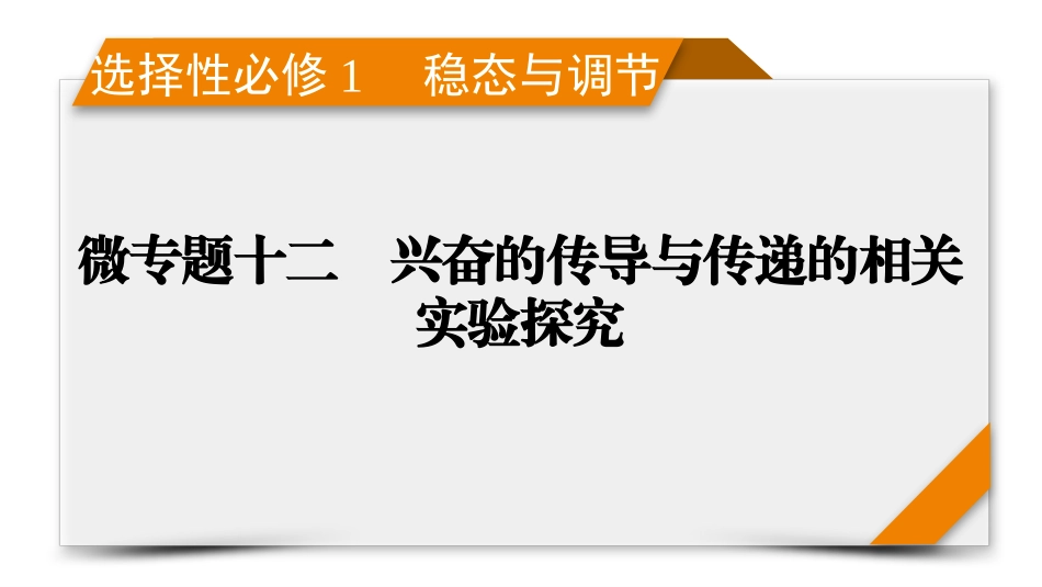 2026年衡中学案高考一轮总复习生物-选择性必修1　微专题12　兴奋的传导与传递的相关实验探究.pptx_第1页