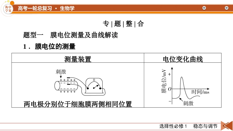 2026年衡中学案高考一轮总复习生物-选择性必修1　微专题12　兴奋的传导与传递的相关实验探究.pptx_第2页