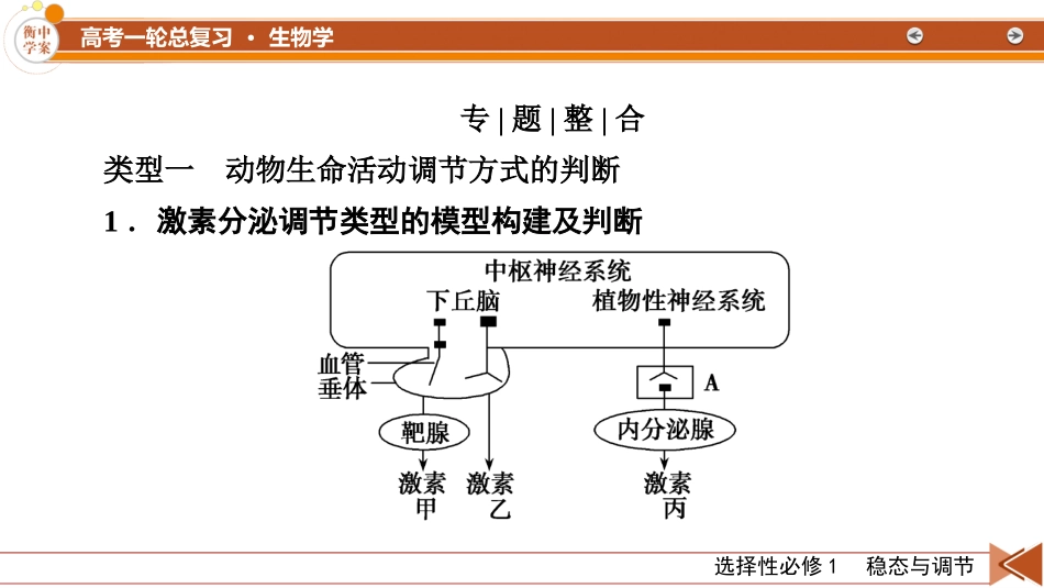2026年衡中学案高考一轮总复习生物-选择性必修1　微专题13　生命活动调节方式的判断与分析.pptx_第2页