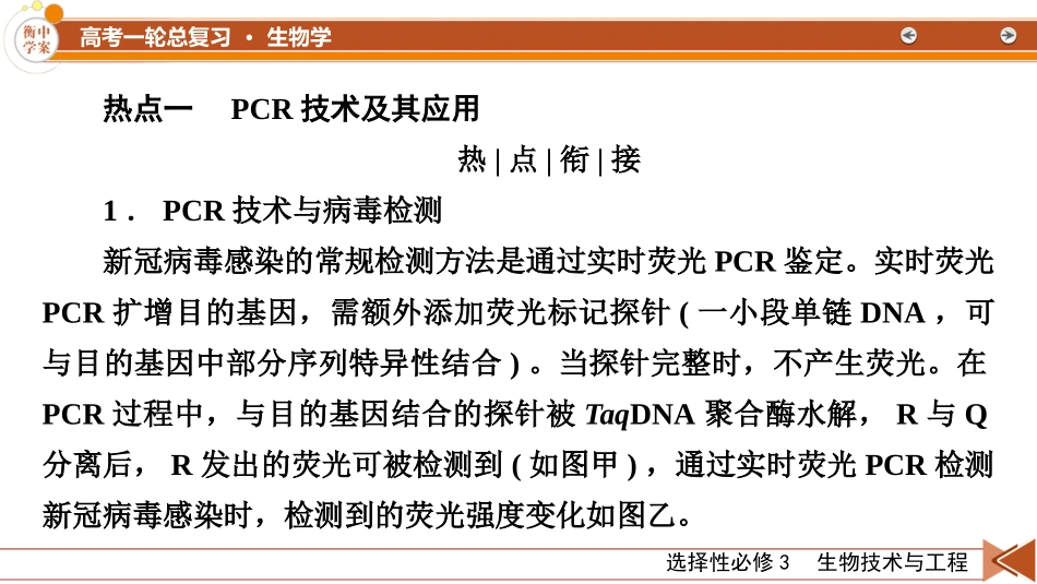 2026年衡中学案高考一轮总复习生物-选择性必修3　热点拓展6　PCR和基因编辑技术.pptx_第2页