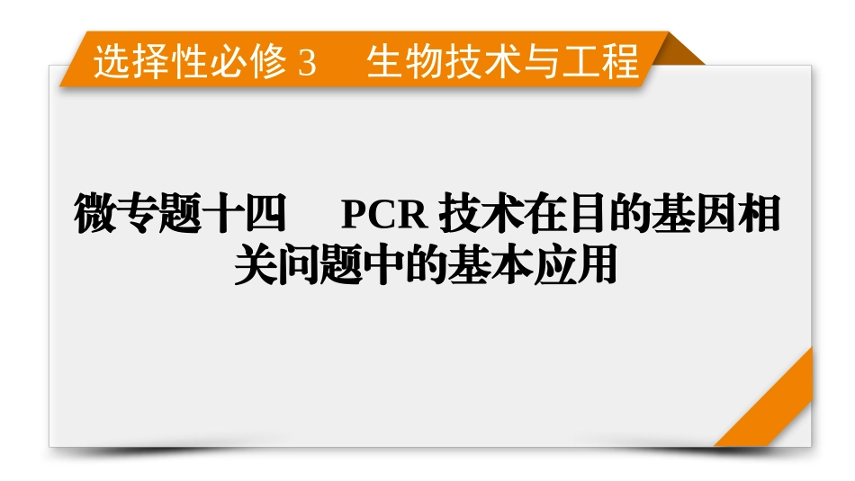 2026年衡中学案高考一轮总复习生物-选择性必修3　微专题14　PCR技术在目的基因相关问题中的基本应用.pptx_第1页