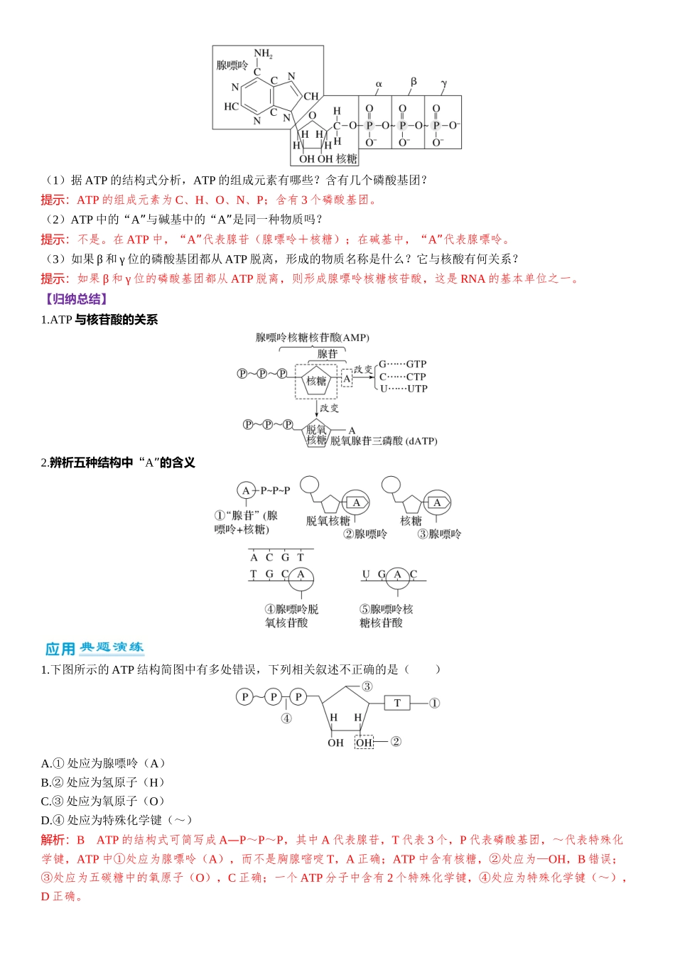 2026年三维设计一轮高中总复习生物-第11讲　ATP.docx_第2页