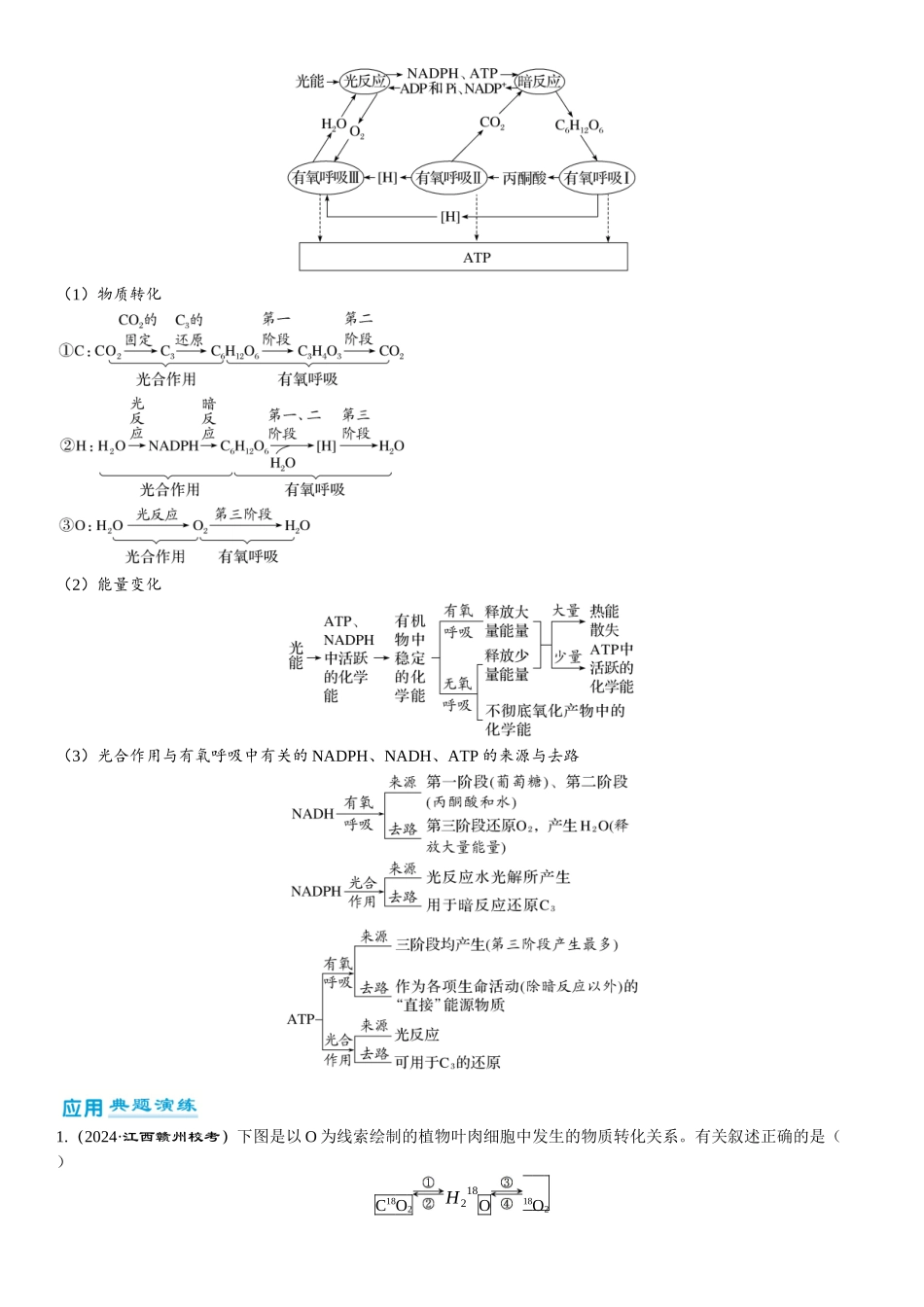 2026年三维设计一轮高中总复习生物-第16讲　光合作用和细胞呼吸的关系.docx_第2页