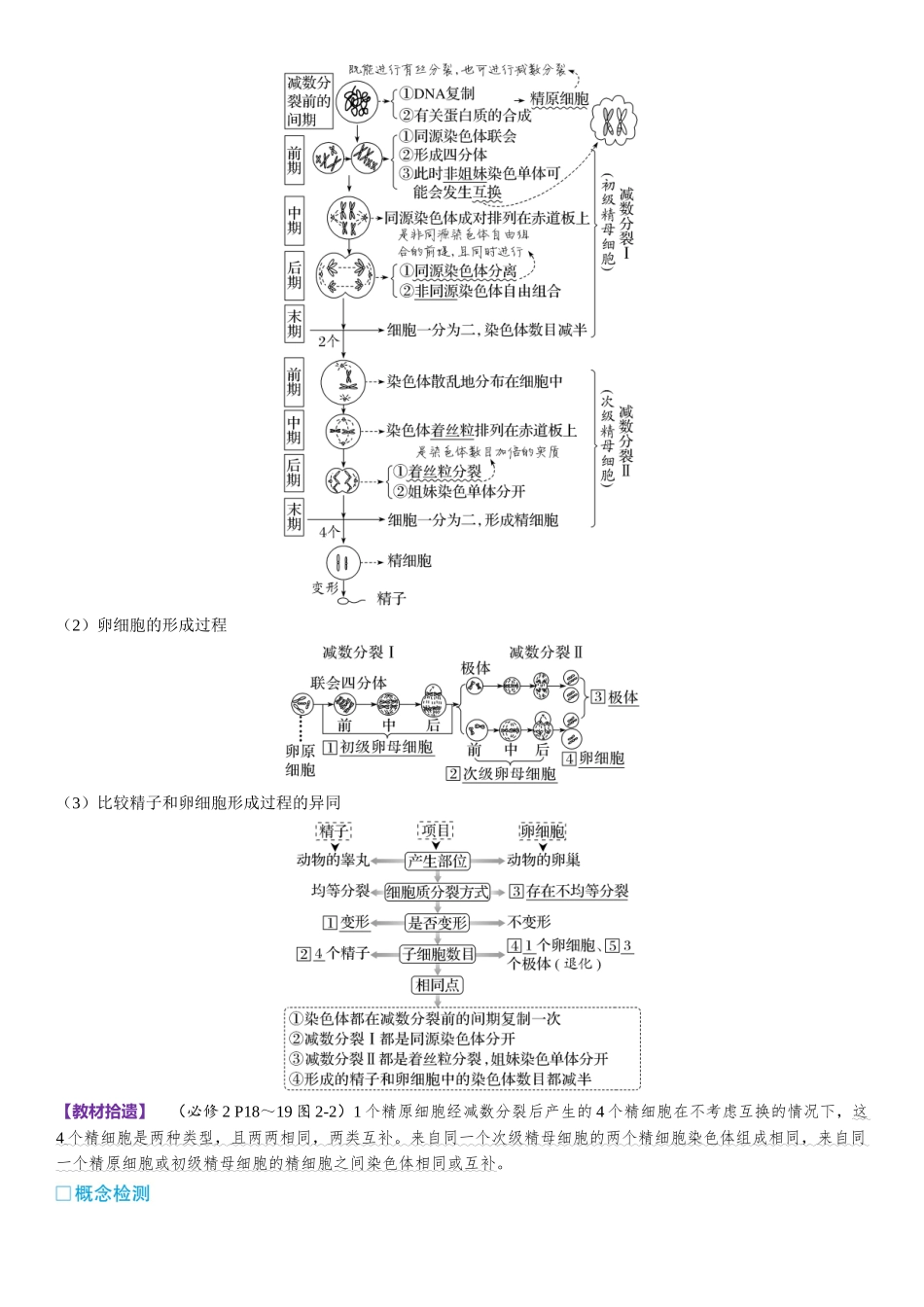 2026年三维设计一轮高中总复习生物-第18讲　减数分裂和受精作用.docx_第2页