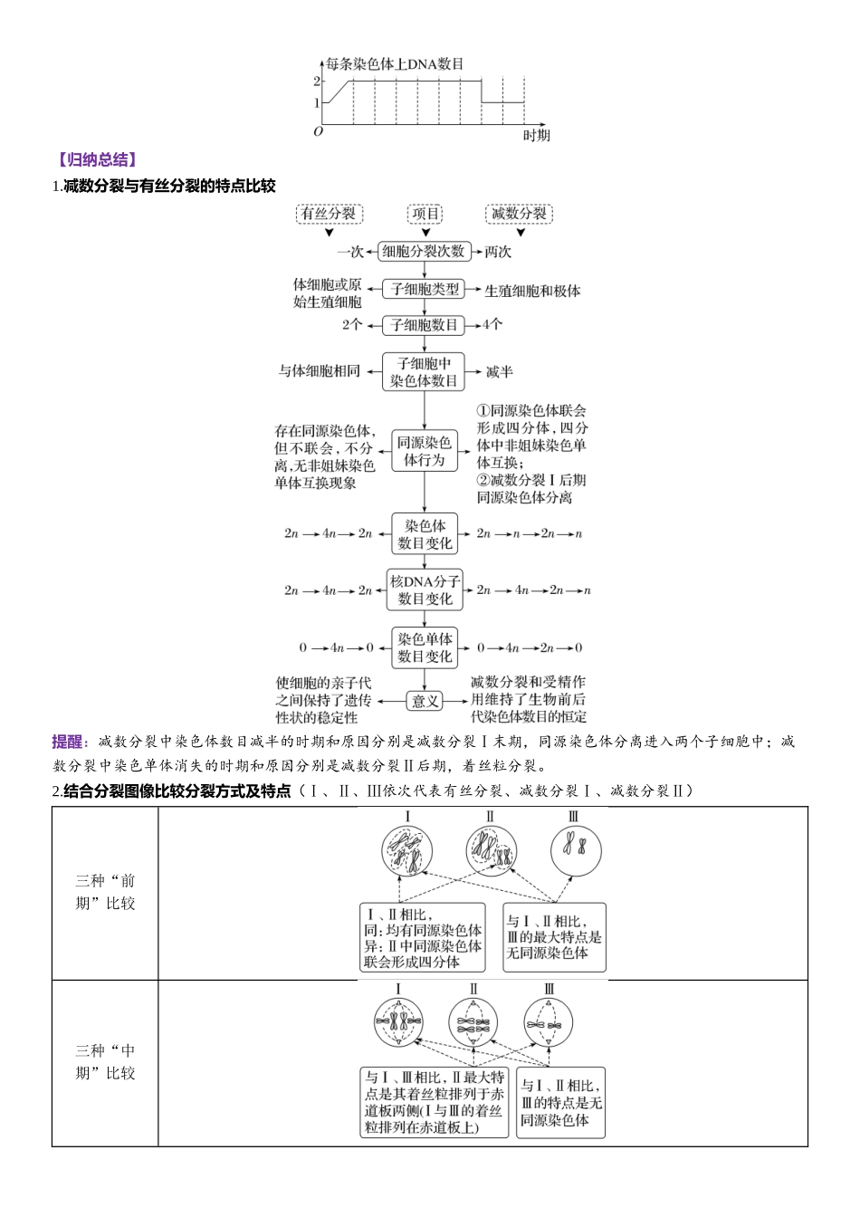 2026年三维设计一轮高中总复习生物-第19讲　有丝分裂和减数分裂的比较及观察细胞的减数分裂.docx_第2页