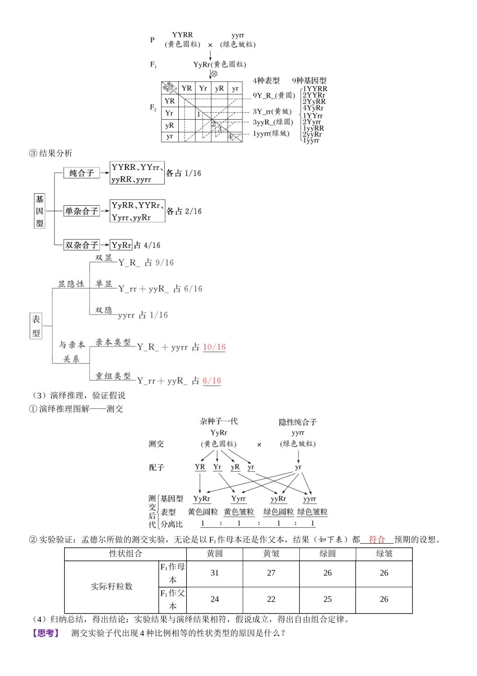 2026年三维设计一轮高中总复习生物-第23讲　自由组合定律的发现及应用.docx_第2页