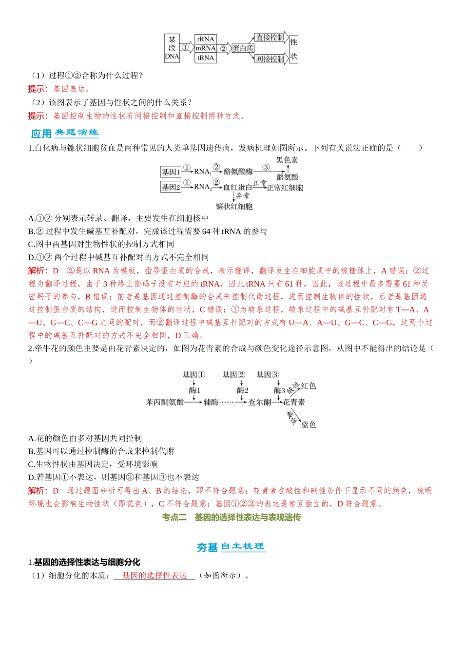 2026年三维设计一轮高中总复习生物-第31讲　 基因表达与性状的关系.docx_第2页