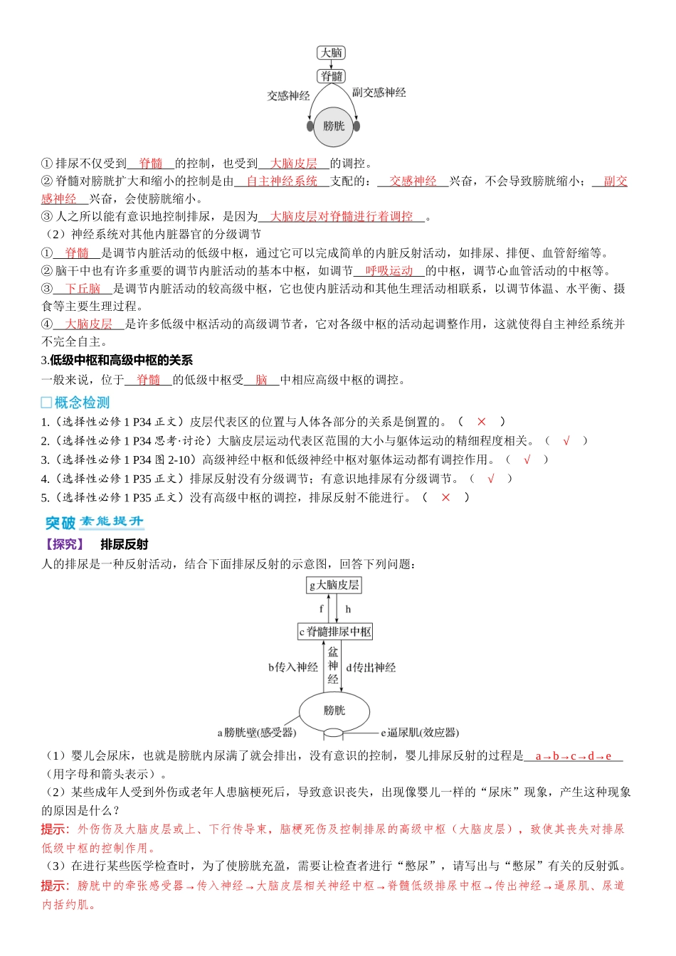 2026年三维设计一轮高中总复习生物-第38讲　神经系统的分级调节及人脑的高级功能.docx_第2页