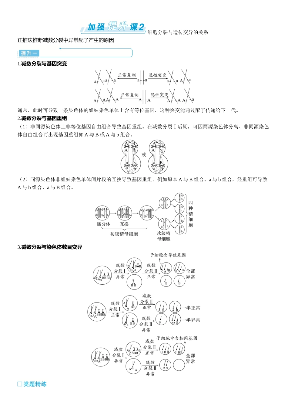 2026年三维设计一轮高中总复习生物-加强提升课2   细胞分裂与遗传变异的关系.docx_第1页